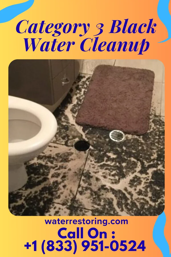 Category 3 Black Water Cleanup in Collings Lakes, NJ