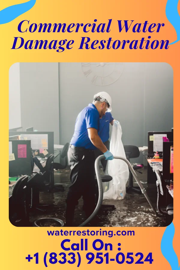 Commercial Water Damage Restoration in Collings Lakes, NJ