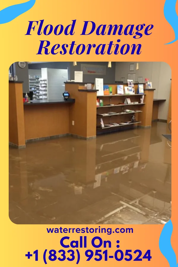 Flood Damage Restoration in Collings Lakes, NJ
