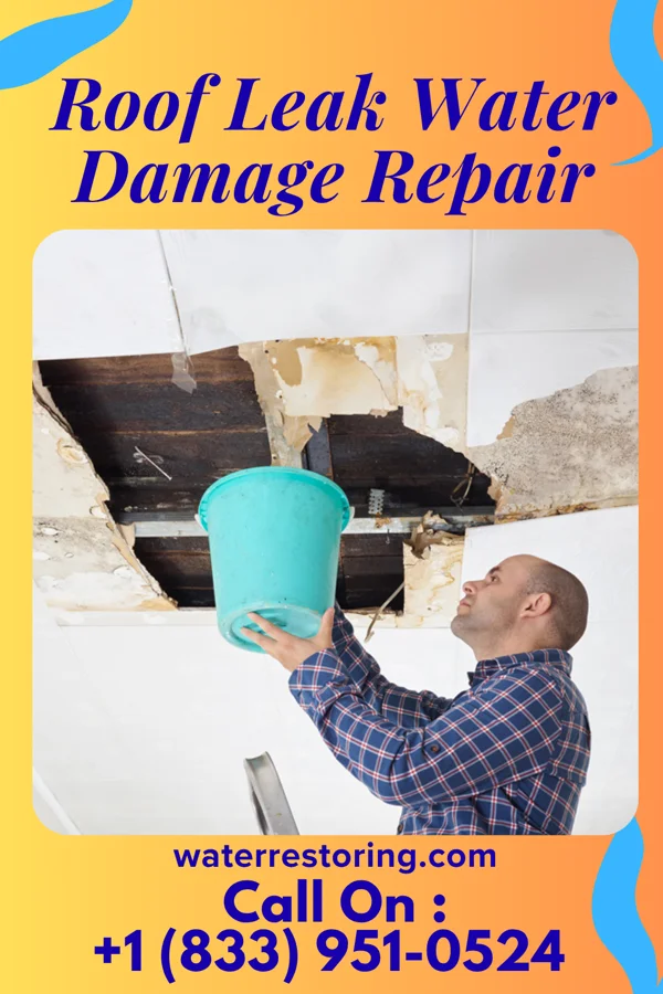 Roof Leak Water Damage Repair in Collings Lakes, NJ