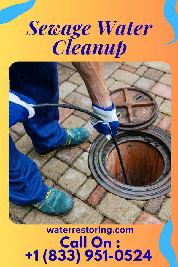 Sewage Water Cleanup in Collings Lakes, NJ