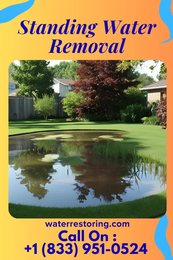 Standing Water Removal in Collings Lakes, NJ